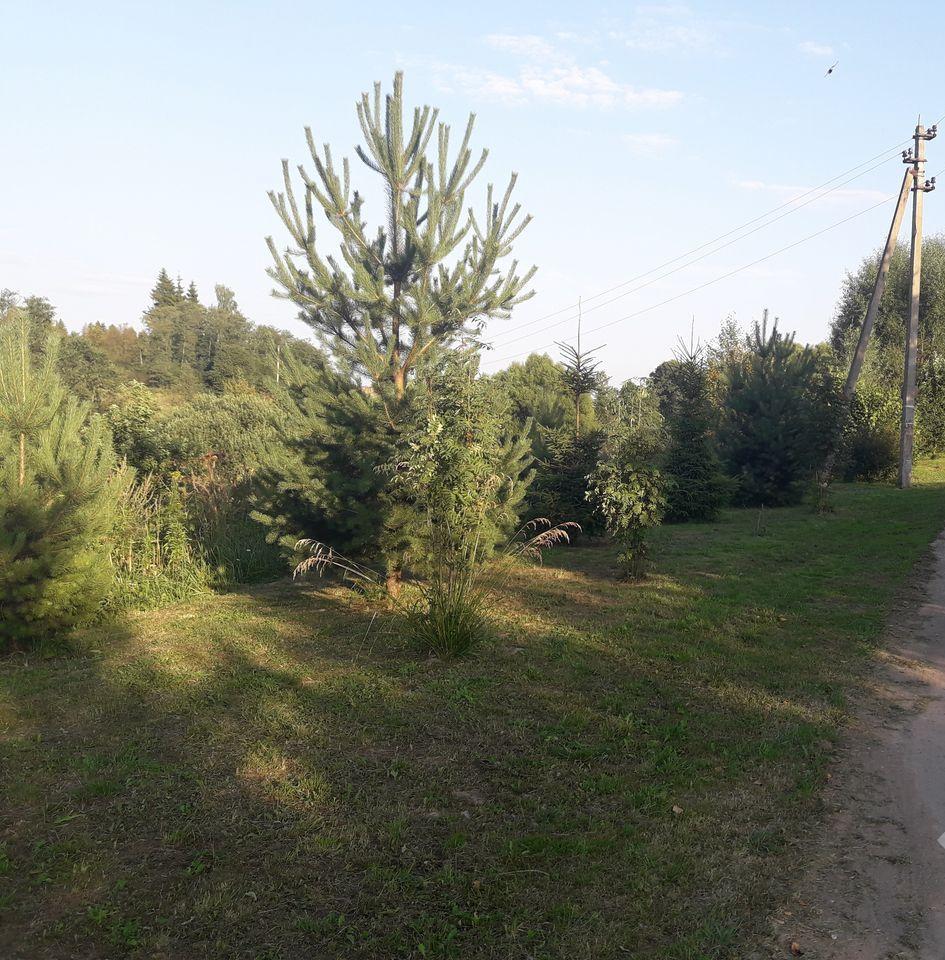 Участок в красной пахре. Деревня Малыгино Краснопахорское поселение. Краснопахорское поселение Малыгино. Краснопахорское поселение д Малыгино.